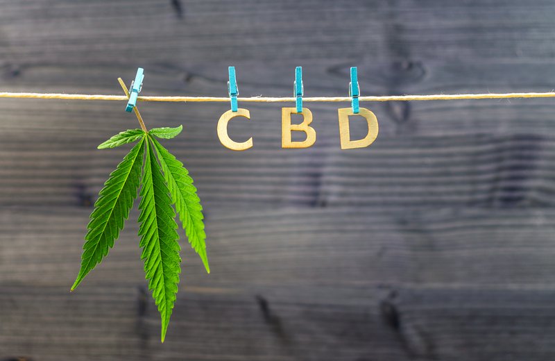 The Basics of CBD