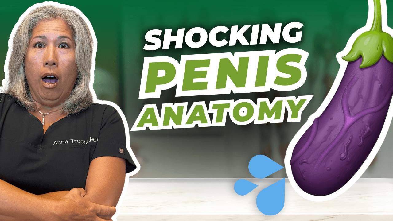You Won't Believe What's INSIDE Your Penis (2 Muscles & 3 Nerves!)